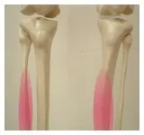 下腿の痛み
